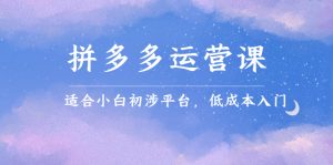 拼多多运营课，适合小白初涉平台，低成本入门白米粥资源网-汇集全网副业资源白米粥资源网