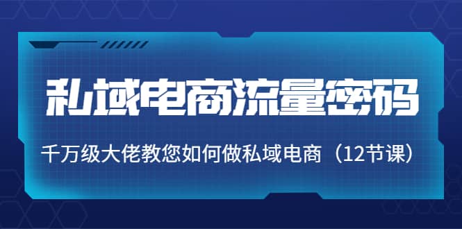 私域电商流量密码：千万级大佬教您如何做私域电商（12节课）白米粥资源网-汇集全网副业资源白米粥资源网