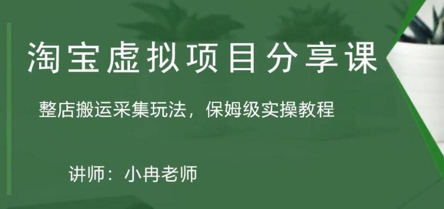 淘宝虚拟整店搬运采集玩法分享课：整店搬运采集玩法，保姆级实操教程白米粥资源网-汇集全网副业资源白米粥资源网