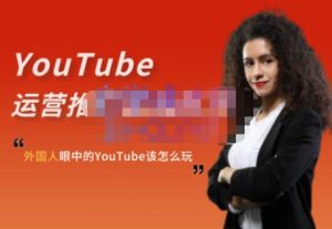 外国人眼中的YouTube该怎么玩?Elisa·YouTube运营推广实战技巧白米粥资源网-汇集全网副业资源白米粥资源网