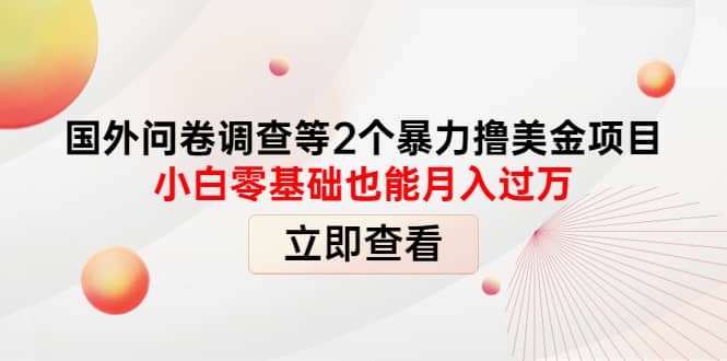 国外问卷调查等2个暴力撸美元项目，小白零基础也能月入过万白米粥资源网-汇集全网副业资源白米粥资源网