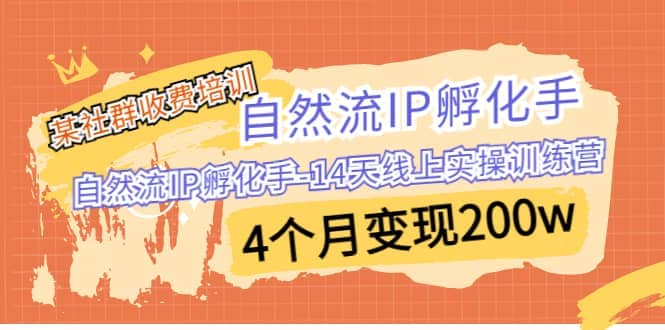 某社群收费培训：自然流IP 孵化手-14天线上实操训练营 4个月变现200w白米粥资源网-汇集全网副业资源白米粥资源网