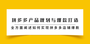 拼多多产品规划与爆款打造,全方面阐述如何实现拼多多店铺爆款白米粥资源网-汇集全网副业资源白米粥资源网