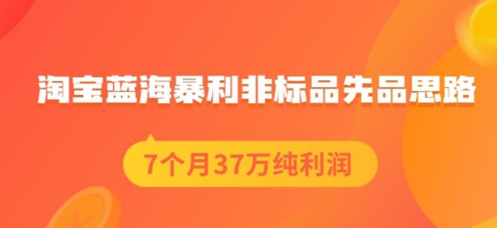 盗坤淘宝蓝海暴利非标品先品思路，7个月37万纯利润，压箱干货分享！【付费文章】白米粥资源网-汇集全网副业资源白米粥资源网