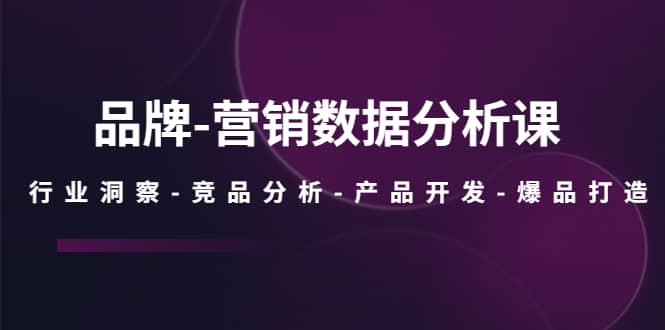 品牌-营销数据分析课，行业洞察-竞品分析-产品开发-爆品打造白米粥资源网-汇集全网副业资源白米粥资源网