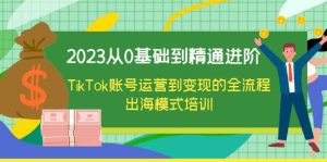 2023从0基础到精通进阶,TikTok账号运营到变现的全流程出海模式培训白米粥资源网-汇集全网副业资源白米粥资源网