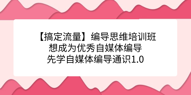 【搞定流量】编导思维培训班，想成为优秀自媒体编导先学自媒体编导通识1.0白米粥资源网-汇集全网副业资源白米粥资源网