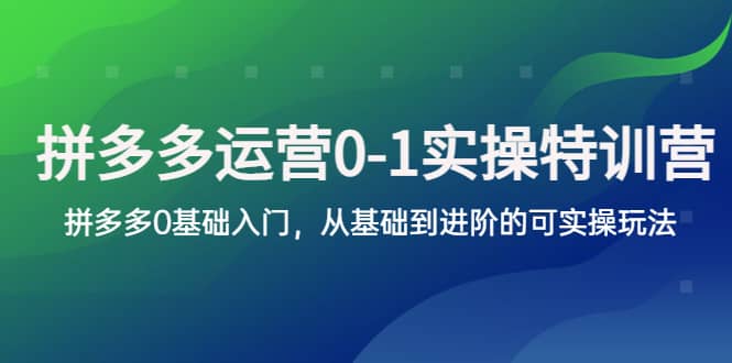 拼多多-运营0-1实操训练营，拼多多0基础入门，从基础到进阶的可实操玩法白米粥资源网-汇集全网副业资源白米粥资源网