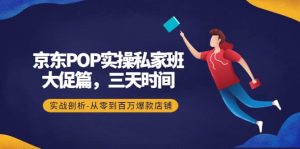 京东POP实操私家班:大促篇,3天时间,实战剖析-从零到百万爆款店铺白米粥资源网-汇集全网副业资源白米粥资源网