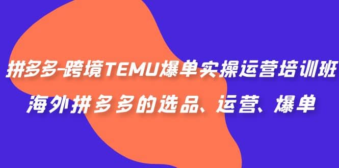 拼多多-跨境TEMU爆单实操运营培训班，海外拼多多的选品、运营、爆单白米粥资源网-汇集全网副业资源白米粥资源网