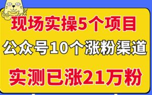 现场实操5个公众号项目,10个涨粉渠道,实测已涨21万粉!白米粥资源网-汇集全网副业资源白米粥资源网
