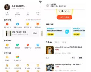 引流哥·闲鱼卖苹果手机项目,教你闲鱼卖货月入上万白米粥资源网-汇集全网副业资源白米粥资源网