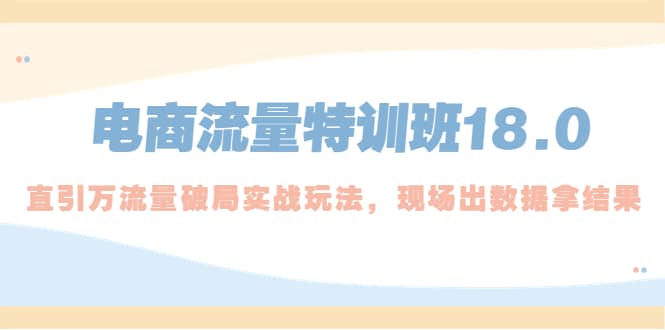 电商流量特训班18.0，直引万流量破局实操玩法，现场出数据拿结果白米粥资源网-汇集全网副业资源白米粥资源网