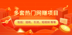 多套vip课程合集,价值千元白米粥资源网-汇集全网副业资源白米粥资源网