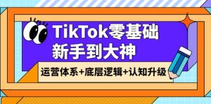 TikTok零基础新手到大神:运营体系 底层逻辑 认知升级(9节系列课)白米粥资源网-汇集全网副业资源白米粥资源网