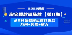 淘宝爆款训练营【第11期】 从0开始教你运营打爆款，方向 实操 放大白米粥资源网-汇集全网副业资源白米粥资源网
