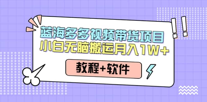 人人都能操作的蓝海多多视频带货项目 小白无脑搬运（教程 软件）白米粥资源网-汇集全网副业资源白米粥资源网