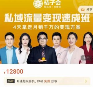 桔子会·私域流量变现速成班,4天拿走月销千万的变现方案 价值12800元白米粥资源网-汇集全网副业资源白米粥资源网