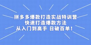 拼多多爆款打造实战特训营：快速打造爆款方法，从入门到高手 日破百单白米粥资源网-汇集全网副业资源白米粥资源网