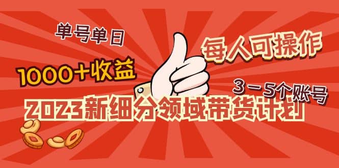 2023新细分领域带货计划：单号单日1000 收益不难，每人可操作3-5个账号白米粥资源网-汇集全网副业资源白米粥资源网