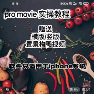 漆十二美食摄影,25节promovie实操高手课节白米粥资源网-汇集全网副业资源白米粥资源网