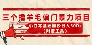 外面卖998的三个撸羊毛项目，小白零基础照抄（附带工具）白米粥资源网-汇集全网副业资源白米粥资源网