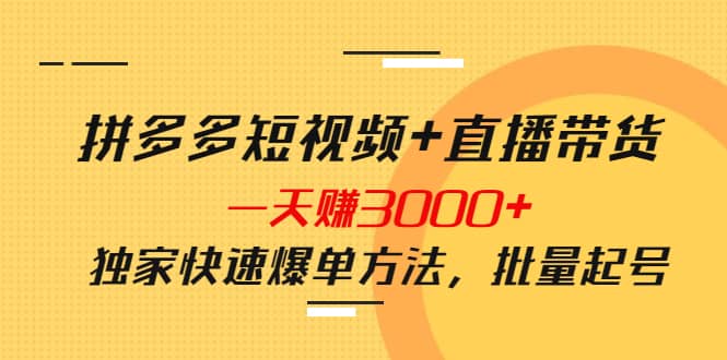 拼多多短视频 直播带货，一天赚3000 独家快速爆单方法，批量起号白米粥资源网-汇集全网副业资源白米粥资源网