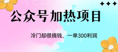 冷门公众号加热项目，一单利润300白米粥资源网-汇集全网副业资源白米粥资源网