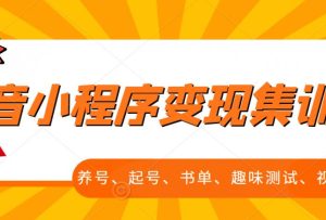 抖音小程序变现集训课,养号、起号、书单、趣味测试、视频剪辑,全套流程白米粥资源网-汇集全网副业资源白米粥资源网