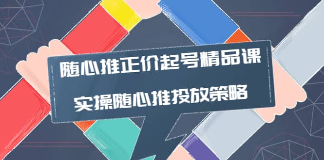 随心推正价起号精品课，实操随心推投放策略（5节课-价值298）白米粥资源网-汇集全网副业资源白米粥资源网