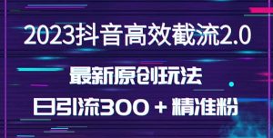 日引300＋创业粉，独家抖音高效截流2.0玩法（价值1280）白米粥资源网-汇集全网副业资源白米粥资源网