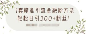 1套精准引流金融粉方法,轻松日引300 粉丝【视频课程】白米粥资源网-汇集全网副业资源白米粥资源网