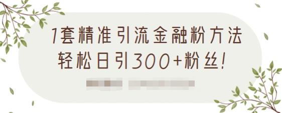 1套精准引流金融粉方法，轻松日引300 粉丝【视频课程】白米粥资源网-汇集全网副业资源白米粥资源网