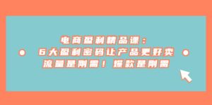 电商 盈利精品课：6大盈利 密码让产品更好卖，流量是刚需！爆款是刚需白米粥资源网-汇集全网副业资源白米粥资源网