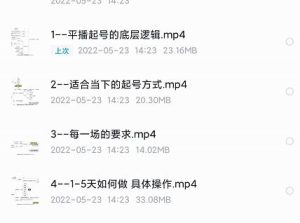 新规平播起号教程：平播起号的底层逻辑，适合当下的起号方式白米粥资源网-汇集全网副业资源白米粥资源网