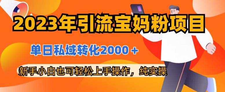 2023年引流宝妈粉项目，单日私域转化2000＋，新手小白也可轻松上手操作，纯实操白米粥资源网-汇集全网副业资源白米粥资源网