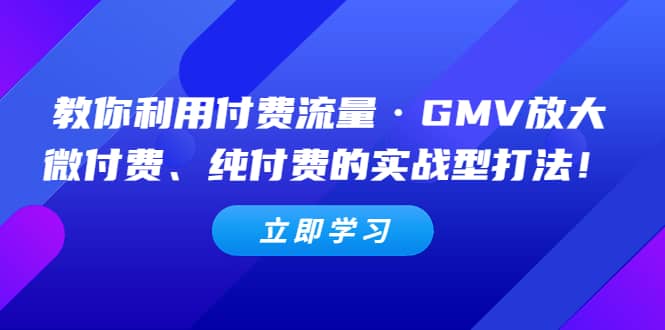 教你利用付费流量·GMV放大，微付费、纯付费的实战型打法白米粥资源网-汇集全网副业资源白米粥资源网