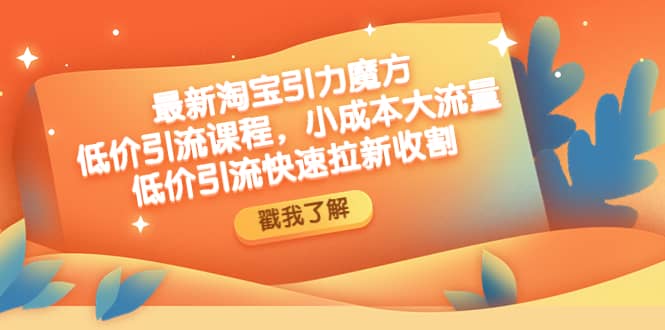 最新淘宝引力魔方低价引流实操：小成本大流量白米粥资源网-汇集全网副业资源白米粥资源网