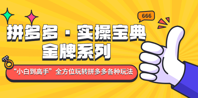 拼多多·实操宝典：金牌系列“小白到高手”带你全方位玩转拼多多各种玩法白米粥资源网-汇集全网副业资源白米粥资源网