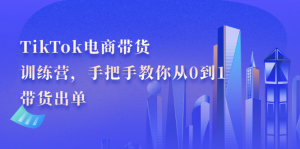 TikTok电商带货训练营,手把手教你从0到1带货出单白米粥资源网-汇集全网副业资源白米粥资源网