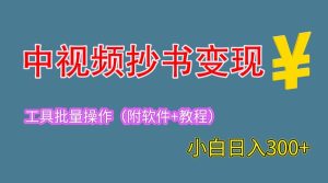 2023中视频抄书变现（附工具 教程），一天300 ，特别适合新手操作的副业白米粥资源网-汇集全网副业资源白米粥资源网