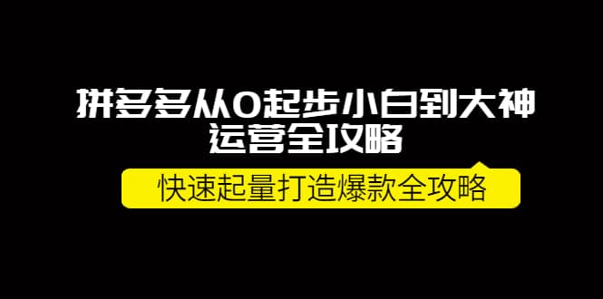 拼多多从0起步小白到大神运营全攻略白米粥资源网-汇集全网副业资源白米粥资源网