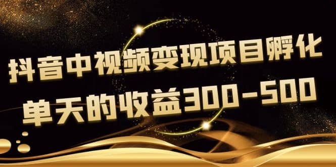 黄岛主《抖音中视频变现项目孵化》单天的收益300-500 操作简单粗暴白米粥资源网-汇集全网副业资源白米粥资源网