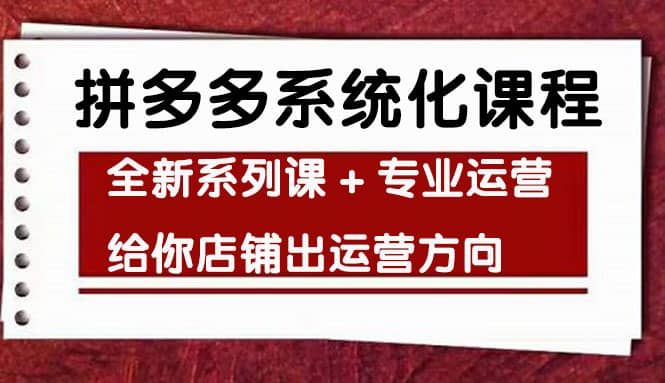 车神陪跑，拼多多系统化课程，全新系列课 专业运营给你店铺出运营方向白米粥资源网-汇集全网副业资源白米粥资源网