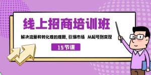 线上·招商培训班,解决流量和转化难的难题 引爆市场 从起号到变现(15节)白米粥资源网-汇集全网副业资源白米粥资源网