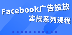 百万级广告操盘手带你玩Facebook全系列投放:运营和广告优化技能实操白米粥资源网-汇集全网副业资源白米粥资源网