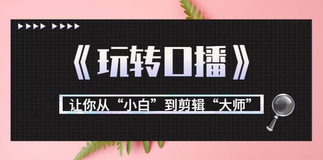 月营业额700万 大佬教您《玩转口播》让你从“小白”到剪辑“大师”白米粥资源网-汇集全网副业资源白米粥资源网