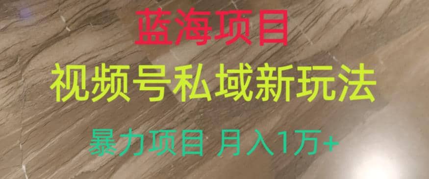 蓝海项目，视频号私域新玩法，暴力项目月入1万 【揭秘】白米粥资源网-汇集全网副业资源白米粥资源网