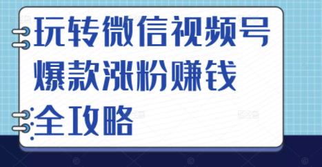 玩转微信视频号爆款涨粉赚钱全攻略，让你快速抓住流量风口，收获红利财富白米粥资源网-汇集全网副业资源白米粥资源网