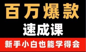 百万爆款速成课:用数据思维做爆款,小白也能从0-1打造百万播放视频白米粥资源网-汇集全网副业资源白米粥资源网